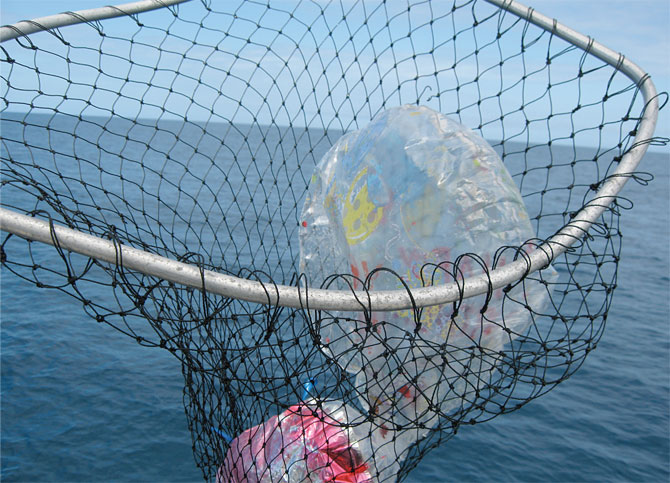 collecting trash while boating: protecting florida marine life