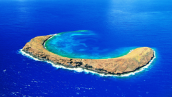  Molokini Crater - top snorkel location in the USA