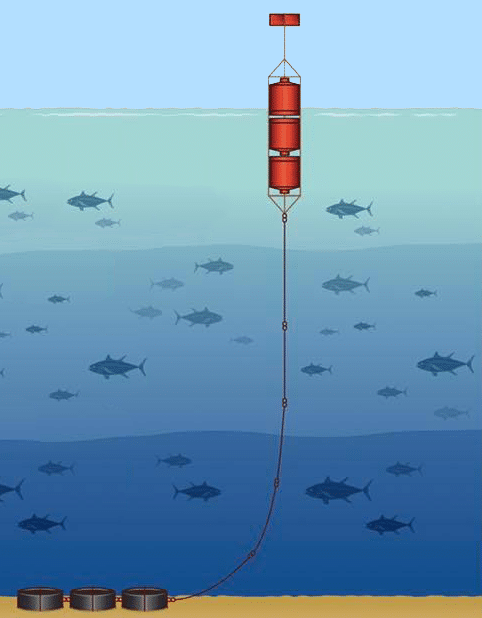Fish Aggregating Device
