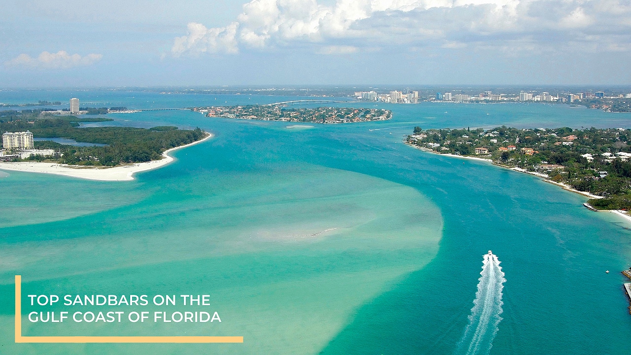 Top Sandbars on The Gulf Coast of Florida
